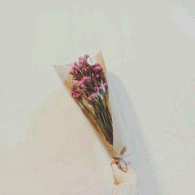 百万战姬加强版下载